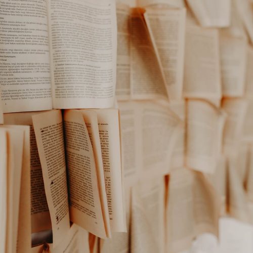 Bücher, Expertenwissen, Hochzeitsberaterin